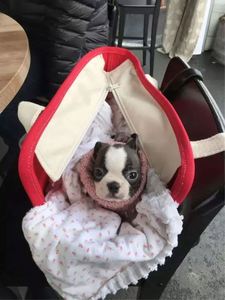 Sac de transport pour animaux de compagnie en toile, personnalisé pour chiens et chats de petite taille, homologué BSCI, souple, approuvé par les compagnies aériennes, sac de transport portable pour chien - Product Image 5
