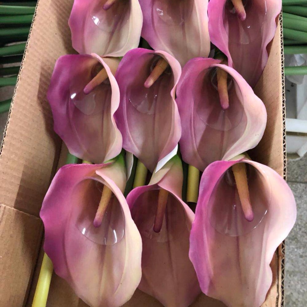 切花百合热带人造花鲜花 - buy fresh cut flowers,cala lily fresh