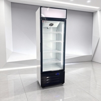 Réfrigérateur vertical pour boissons avec porte en verre, présentoir de boissons, porte en verre, réfrigérateur Coca-Cola