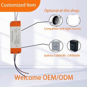 Kit de pilote de lumière d'urgence LED Tuoming Ce Rohs, pilote de lumière d'urgence LED rechargeable AC - Product Image 3