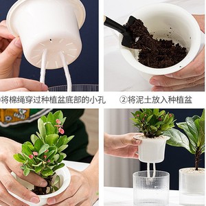 Taiyuan Self Watering Flower <b>Pots</b> Transparent Hydroponic Planters Minimalist Desktop Green Plant <b>Pots</b> One Piece Molding - Product Image 3
