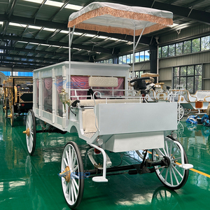 Carroza Fúnebre Eléctrica para Eventos Especiales con Color Personalizado y Estructura de Acero, Carroza Tirada por Caballos con Toldo - Product Image 5