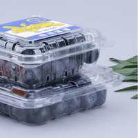 Meilleure boîte d'emballage de myrtilles de fruits jetable et bon marché petite boîte de myrtilles en plastique PET délicate avec couvercle transparent 125g