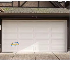Andexin Realgres Porte <span class=keywords><strong>de</strong></span> <span class=keywords><strong>garage</strong></span> et <span class=keywords><strong>portes</strong></span> piétonnes industrielles sectionnelles en acier double nord-américain pour <span class=keywords><strong>deux</strong></span> voitures - Product Image 5