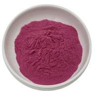 Poudre juteuse de fruits de canneberge pure de haute qualité poudre de canneberge sèche boisson solide instantanée