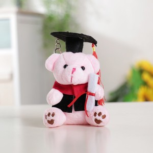 12CM Cartoon <b>Teddy</b> Bear Plush Toys School Graduation Gift Girl Bag Pendant Keychains Doctor Bear PP Cotton Filling Graduation - Product Image 6