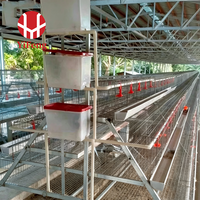 Système de cages à poulettes en A haute densité en fil d'acier galvanisé soudé, 3, 4 ou 5 niveaux, pour l'élevage de poussins et l'utilisation en poulaillers commerciaux