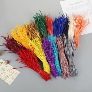 Vente Pas Cher Naturel Oie <span class=keywords><strong>Biot</strong></span> Plume DIY Décoration Teint Stripped Plumes pour Chapeaux De Fête Chapellerie Mouche Attachant Des Costumes De Carnaval - Product Image 6