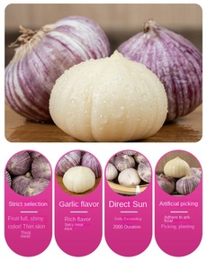 <span class=keywords><strong>Ail</strong></span> à tête unique séché 2025 Nouvelle <span class=keywords><strong>saumure</strong></span> de peau violette en forme de bloc préservée 500g - Product Image 5