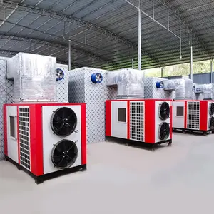 Système de séchage du bois chauffage à la vapeur four à bois four à bois four à tunnel à bois <span class=keywords><strong>pompe</strong></span> à <span class=keywords><strong>chaleur</strong></span> <span class=keywords><strong>pompe</strong></span> à moteur solaire fournie 300 - Product Image 6