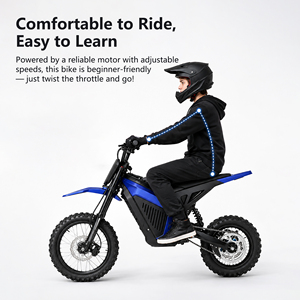 Moto électrique tout-terrain en gros, vitesse maximale 52 km/<span class=keywords><strong>h</strong></span>, roues 14/12 pouces, pour adultes et enfants, idéale pour la conduite en extérieur - Product Image 6