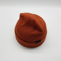 Chapeaux d'hiver en laine acrylique pour femmes, avec Patch, Logo personnalisé de styliste, de haute qualité, collection