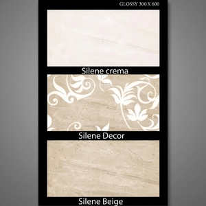 Azulejos de Pared de Porcelanato Cerámico de Primera Calidad 300x600 para Baño, 30x60 para Cocina, Acabado Mate, Mosaico, Ladrillo Refractario - Product Image 6