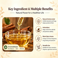 Extrait de cannelle pur naturel de qualité alimentaire 100% Cinnamaldéhyde Extrait de cannelle liquide CAS 104-55-2 Arôme et parfum