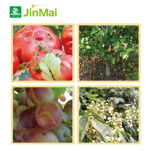 Premium 120g/L Ca y 20g/L <span class=keywords><strong>B</strong></span> Compuesto Ácido Glucano Crecimiento de plantas Fertilizante líquido para brillo de frutas y resistencia a enfermedades - Product Image 5