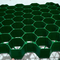 Grille en plastique PP robuste de style design industriel pour espaces extérieurs, applications de parcs, stabilisation du sol