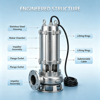 Pompe submersible et de surface en acier inoxydable pour eaux usées, grande capacité, pompe submersible pour eaux usées WQ