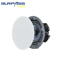 BTF41 65 pouces 40W pour haut-parleurs de plafond, de mur et de toit V5.1, amplificateur de classe D intégré, système audio bidirectionnel pour cinéma maison