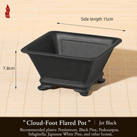 Pot de fleurs carré en résine de style chinois avec plusieurs trous de drainage, jardinière pour usage domestique pour les plantes succulentes, les cactus, les bonsaïs