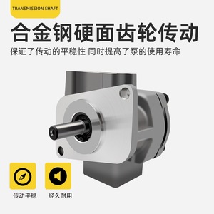 ปั๊มน้ำมันเกียร์ Keileto รุ่น Gpyz5.8r323b สำหรับเปลี่ยนแทน Shimadzu ผลิตในไต้หวัน - Product Image 3