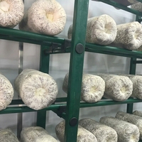 Conteneur de culture de champignons en kit personnalisé, maison modulaire à température et humidité constantes pour ferme de culture