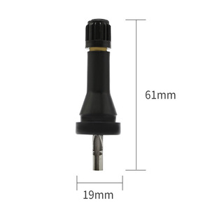 <b>Tpms</b> Valve Stem Caps For Nissan X Trail Sylphy Tubeless Stainless Steel Straight Angled Spout American Mouth Fitment - Product Image 4