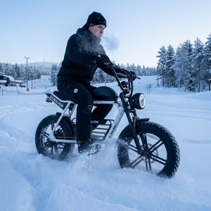 Weißes Fatbike E-Bike mit Scheibenbremsen, Resort-Ebike für Skiresort-Transport - Product Image 5