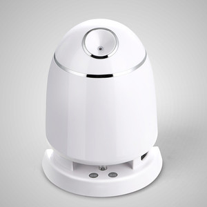 dream steamer for sale