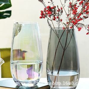 Vaso di cristallo moderno semplice in stile Ins per la casa arredamento morbido vaso di fiori ad alta trasparenza - Product Image 3