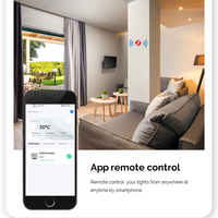 Tuya ZigBee 3.0 Mini interrupteur mural intelligent DIY 10A 2 Gang Control Smart Home Automation App Control Max Voltage 240V Personnalisable EU