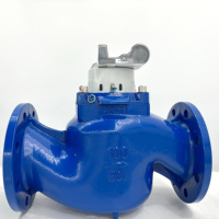 Medidor de Agua Inteligente Digital de Gran Calibre con Transmisión Remota Inalámbrica NB-IoT/4G/LoRa IP68
