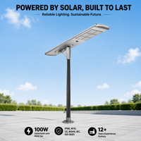Lampadaire solaire LED tout-en-un en alliage d'aluminium étanche IP65 avec contrôleur MPPT 100W, angle de faisceau 140°, certifié RoHS, télécommande
