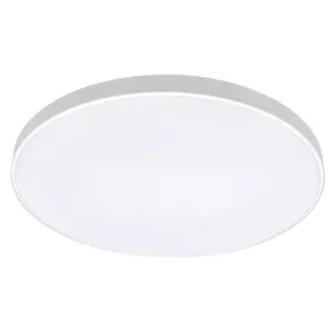 Fast Delivery Decorated Ceiling Lights Fixture 24w Smart RGB WIFI Homekit Led Ceiling Light