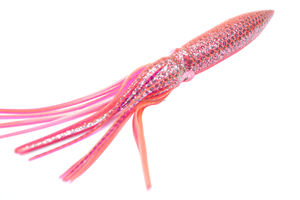 12 15 17 21 pouces gros <span class=keywords><strong>UV</strong></span> pêche à la traîne pieuvre caoutchouc doux calmar jupes appât calmar jupes doux poulpe pêche en eau salée leurre - Product Image 6