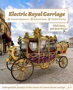 Chariot de mariage électrique à chevaux OEM spécial transport, couleur or, sculpture royale - Product Image 4