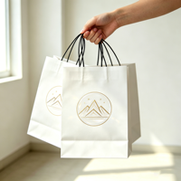 Sacs en papier de luxe personnalisés avec logo imprimé, emballage pour bijoux, bracelet, sac cadeau, sac de shopping avec fermeture à ruban