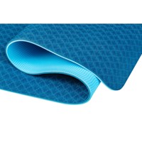 Sansd Prix du fabricant compétitif Logo personnalisé écologique antidérapant antistatique Oem/Odm Bady Fit Tapis de yoga pour l'exercice