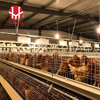 Cage d'élevage de poulets de type A à haute capacité avec cadre galvanisé pour les fermes avicoles commerciales, fournisseur d'équipements d'élevage de volailles