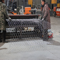 Rouleau de treillis métallique hexagonal tissé galvanisé et revêtu de PVC pour gabions renforcés, idéal pour la protection contre les chutes de pierres et les matériaux de construction métalliques.