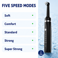 Polisseur dentaire électrique rechargeable multifonctionnel 5 en 1 avec 5 têtes de brosse pour un usage domestique, élimination du tartre et du calcul dentaire