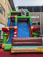 Château gonflable commercial pour enfants, thème papillon, avec double toboggan, pour fêtes en plein air, garantie 3 ans