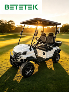 Carrito Todoterreno Eléctrico, Carrito de Golf con Estructura Robusta para Uso en Carreteras No Públicas, DOT CE EEC - Product Image 1
