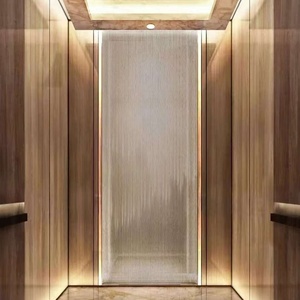 Ascensor Exterior a Precio de Fábrica, Elevador Hidráulico Residencial, Mini Ascensor Eléctrico para el Hogar, Elevador de Pasajeros para el Hogar - Product Image 1