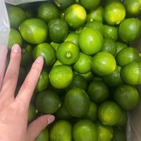 Citron vert sans pépins frais d'origine vietnamienne, citron vert de haute qualité, taille 6 cm, approvisionnement stable toute l'année pour les partenaires internationaux