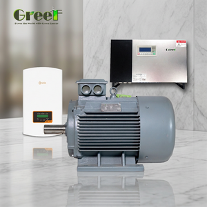 Alternador Sincrónico PMG Trifásico de 20 KW y 750 RPM para Eje Horizontal de Aerogenerador - Product Image 5
