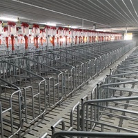 Cage de gestation pour truies, cage de mise bas pour truies, cage de gestation à colonne galvanisée à chaud pour élevage porcin, équipement d'élevage