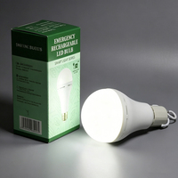 Ampoule LED rechargeable personnalisée, économie d'énergie, lampe d'urgence intérieure/extérieure