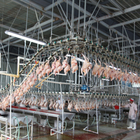Qingdao Raniche Brower équipement de volaille mini abattoir mobile usine de transformation de poulet habillé