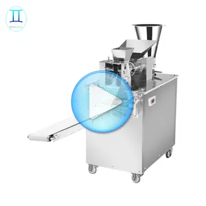 220V Machine Voor Maken Pelmeni/Machine Voor Productie Van Pelmeni Thuis