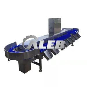 most popular oyster sea cucumber fish sorting machinery weight grading machine